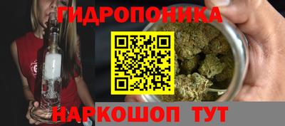 ALPHA PVP Комсомольск-на-Амуре