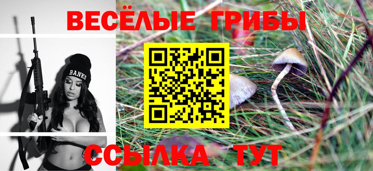 Краснокаменск  Псилоцибиновые грибы GOLDEN TEACHER  Вход с VPN 